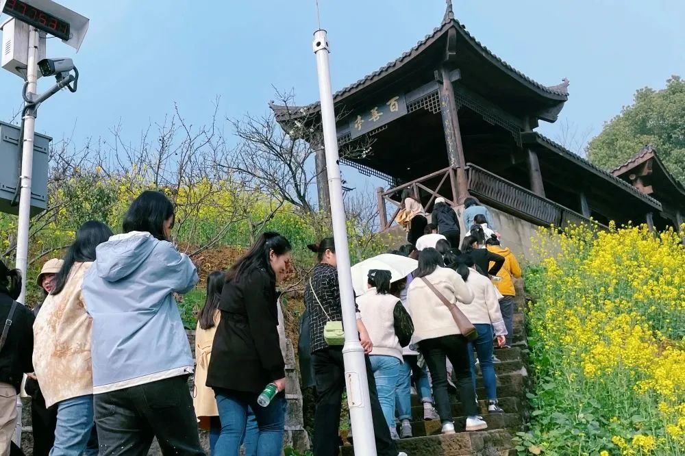 獻(xiàn)禮3.8節(jié)|勇做攀登者,奮進(jìn)新未來