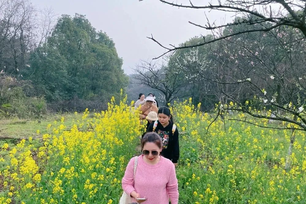 獻(xiàn)禮3.8節(jié)|勇做攀登者,奮進(jìn)新未來