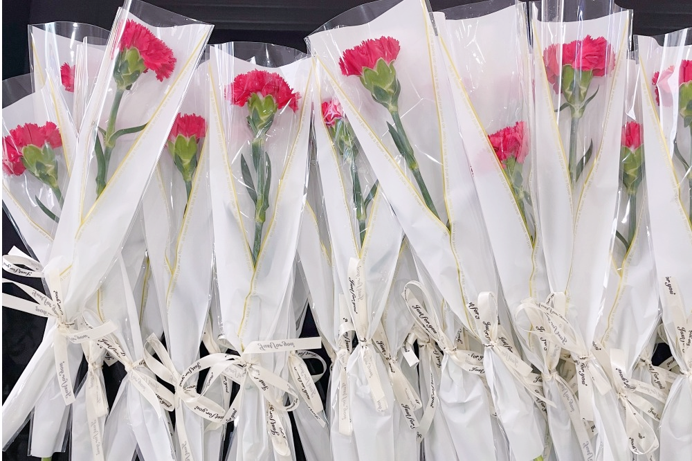 獻(xiàn)禮3.8節(jié)|勇做攀登者,奮進(jìn)新未來